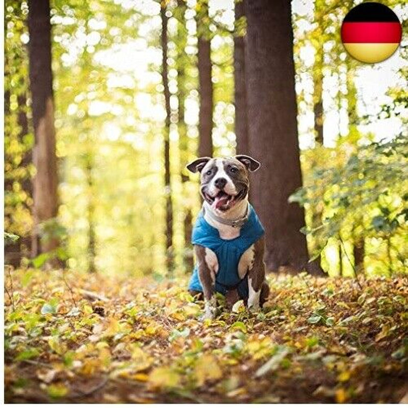 Kurgo Loft Hundejacke, Mit Hundegeschirr Kombinierbar, Wasserdicht Und